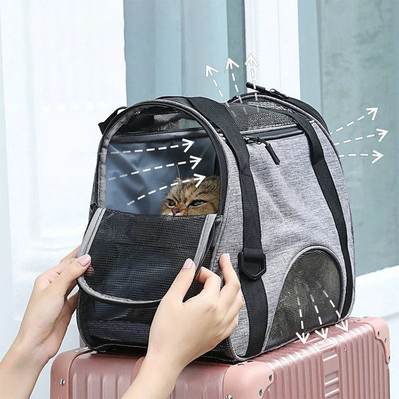 Stylish pet carrier – comfort &amp; safety on the go!