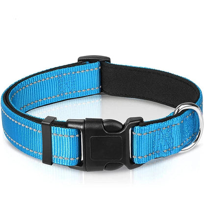 Verstellbares Hundehalsband – Stilvoll, robust & sicher