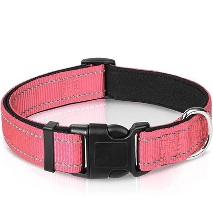 Verstellbares Hundehalsband – Stilvoll, robust & sicher