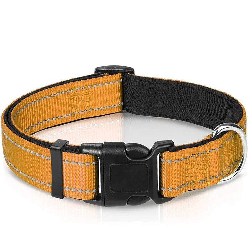 Verstellbares Hundehalsband – Stilvoll, robust & sicher