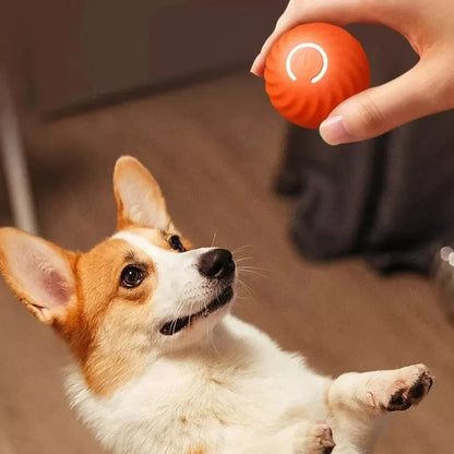 Interaktiver Elektronischer Hundeball