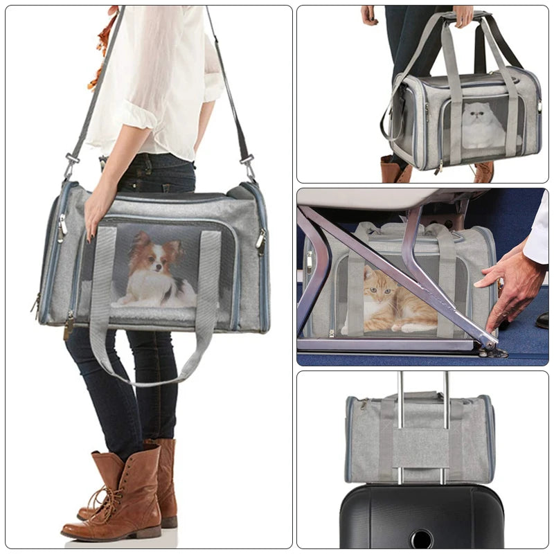 Comfortable transport bag for dogs &amp; cats 