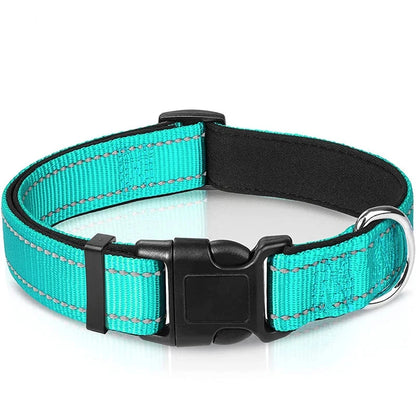 Verstellbares Hundehalsband – Stilvoll, robust & sicher