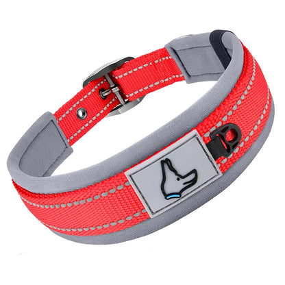 Komfortables Hundehalsband – Stilvoll, robust &amp; sicher