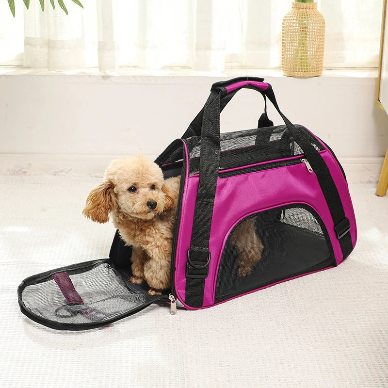 Stylish pet carrier – comfort &amp; safety on the go!