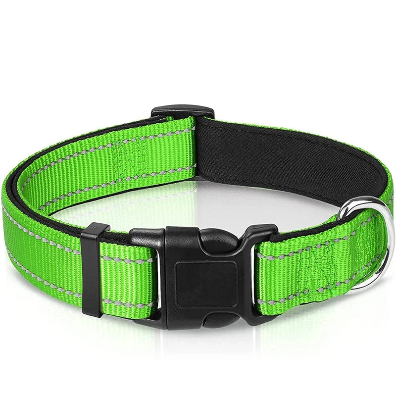 Verstellbares Hundehalsband – Stilvoll, robust & sicher