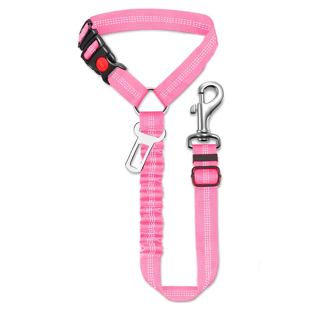 Sicherheitsgurt für Hunde