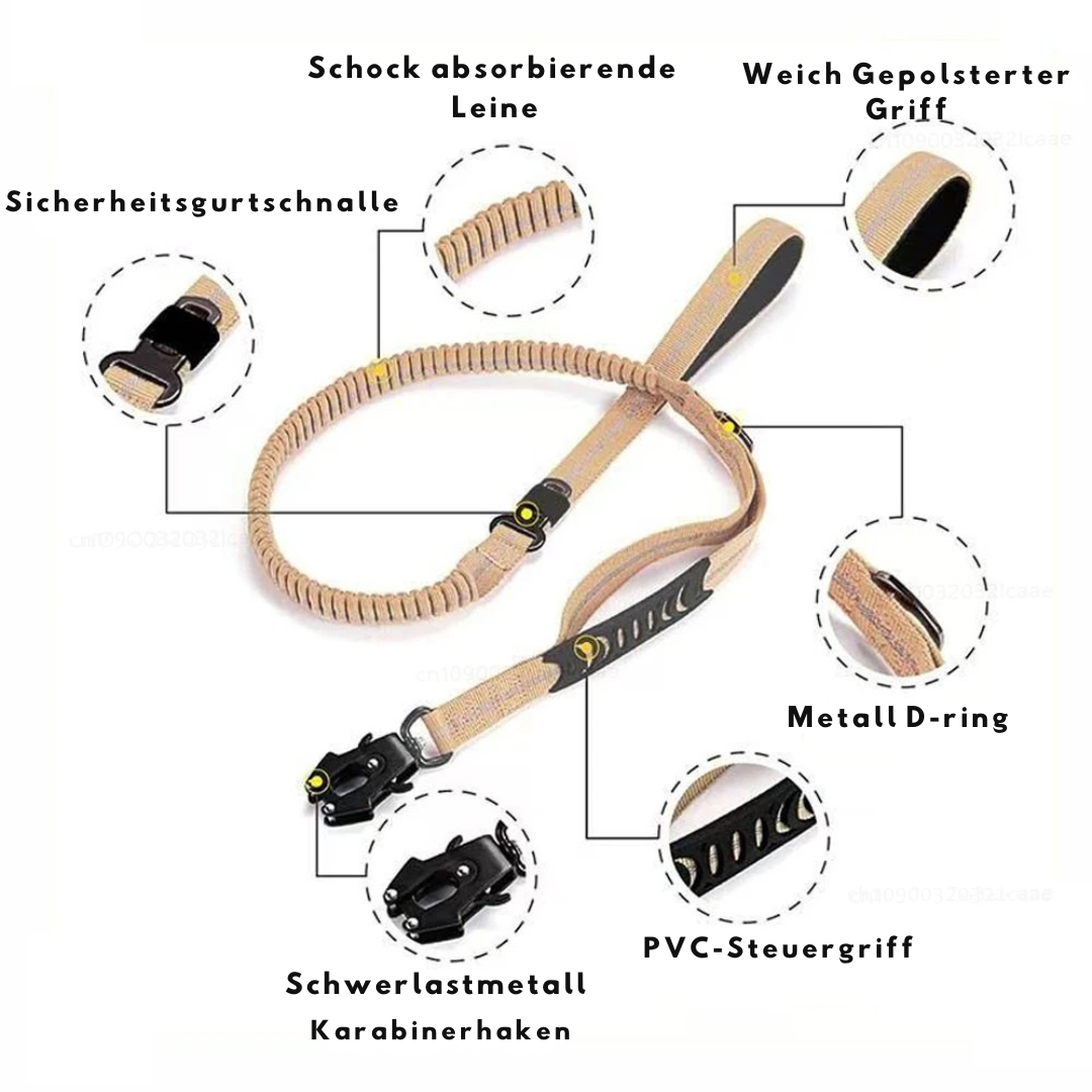Hochwertige, elastische Hundeleine für maximale Sicherheit und Komfort – auch für die Nutzung im Auto geeignet