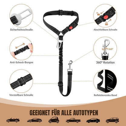 Sicherheitsgurt für Hunde