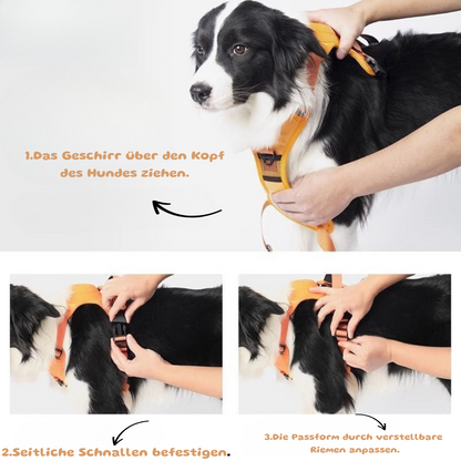 Ergonomisches Hundegeschirr mit integrierter Leine & Schutzpolster