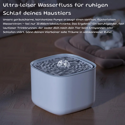 Eleganter Trinkbrunnen für Katzen und Hunde